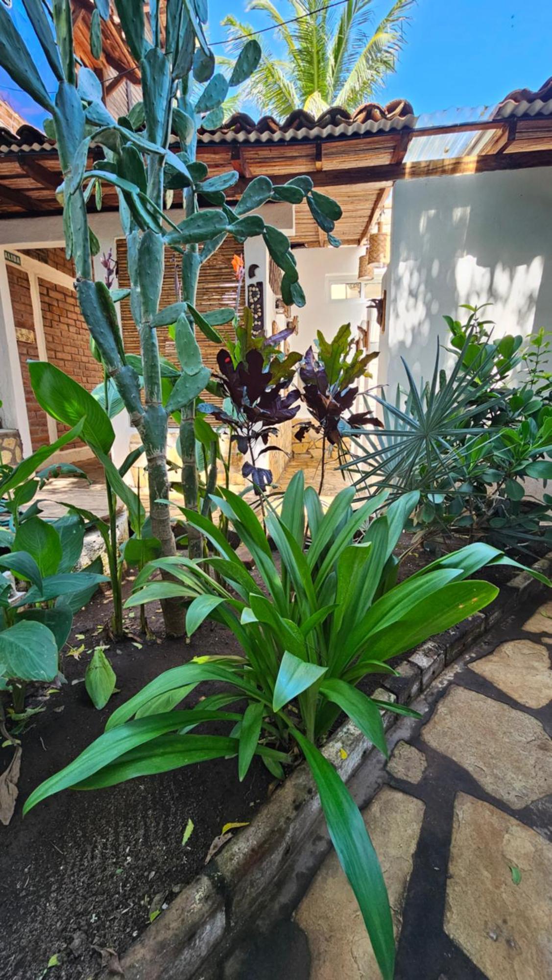 Mano A Mano Eco Hostal Las Peñitas Exterior foto